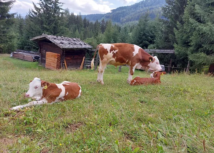 Blosegghof Bergchalets Waldblick