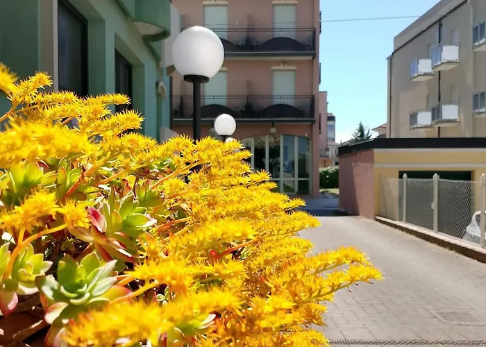Hotel Anita B&B sul lungomare