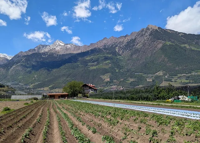 Valentinhof - Organic Farm