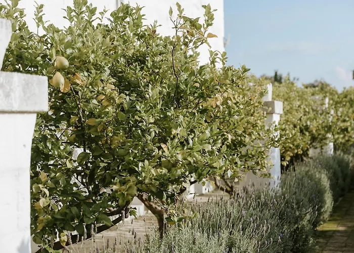 Masseria Mammella