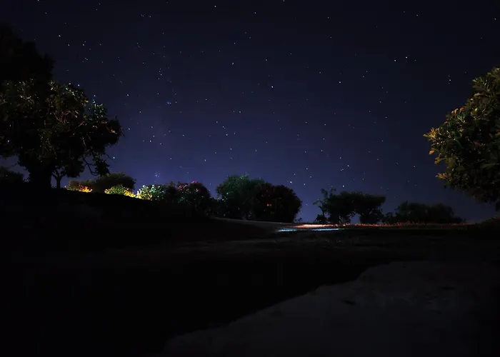 Antico Trullo Immerso Nella Campagna
