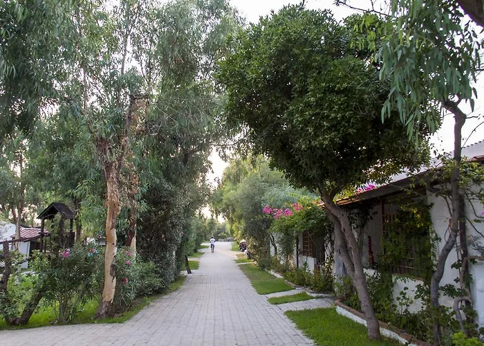 Villaggio Camping Mimosa