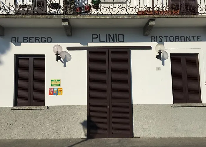 Plinio