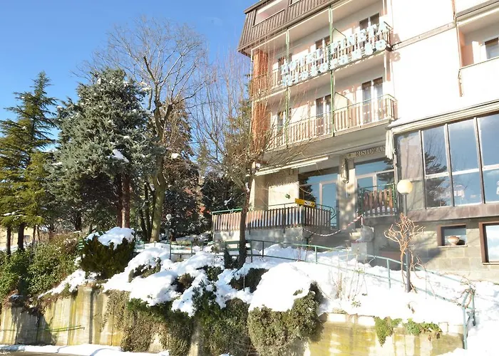 Hotel Pineta