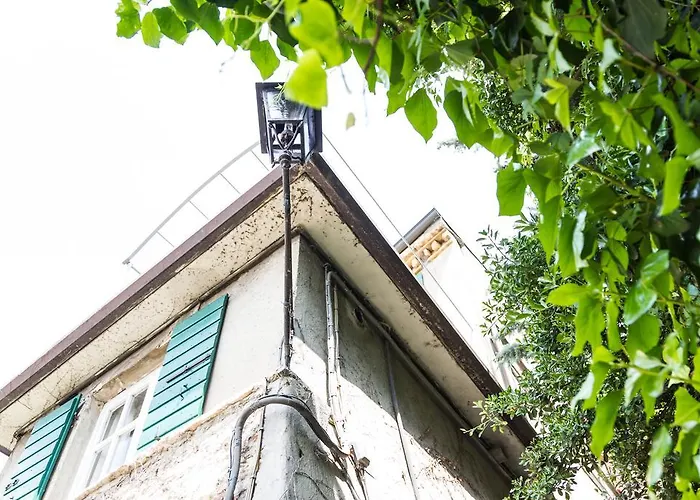 Casa Corvina