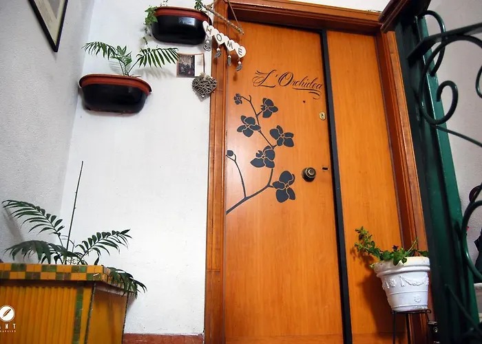 L'Orchidea