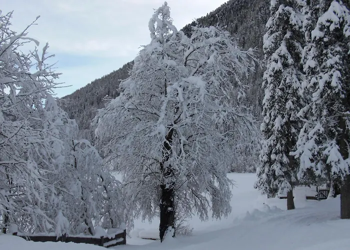 Seehaus - Only Adults - Mountain Lake Resort