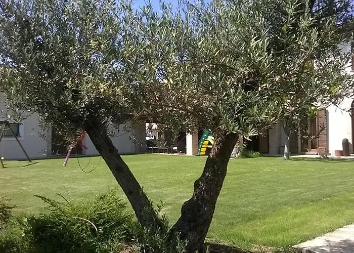 B&B Mammarosa