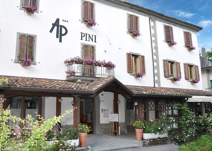 Hotel Pini