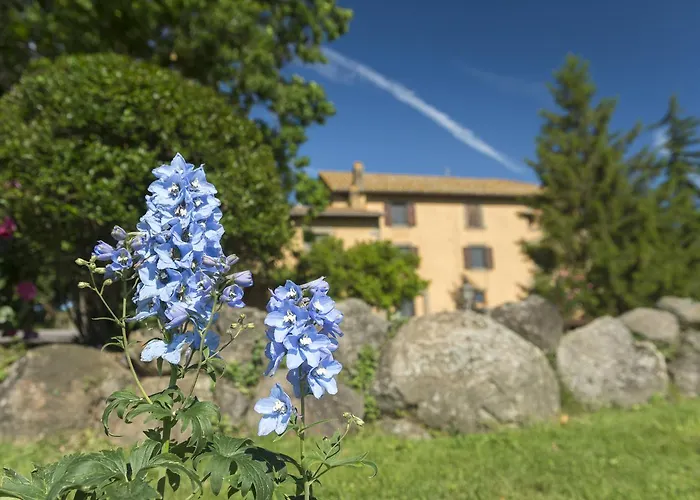 Tenuta di Santa Lucia