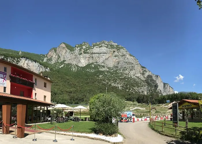 Ciclamino