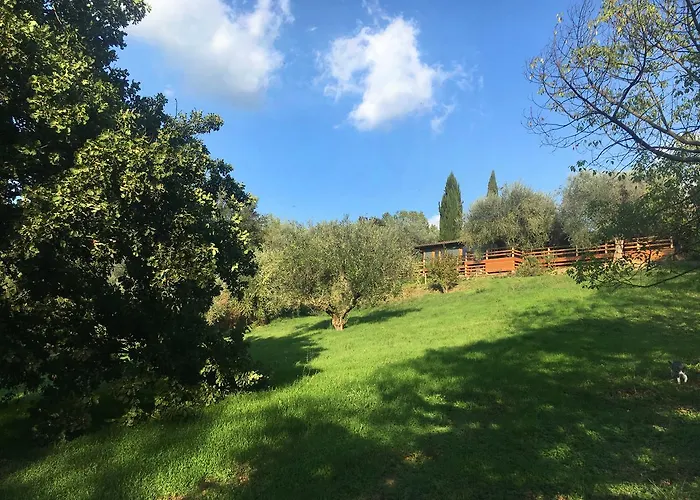 Madonnella Agricola