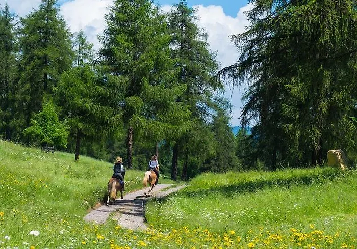 Camping Chalet Salten San Genesio Atesino