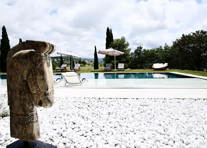 Dojo Bianco