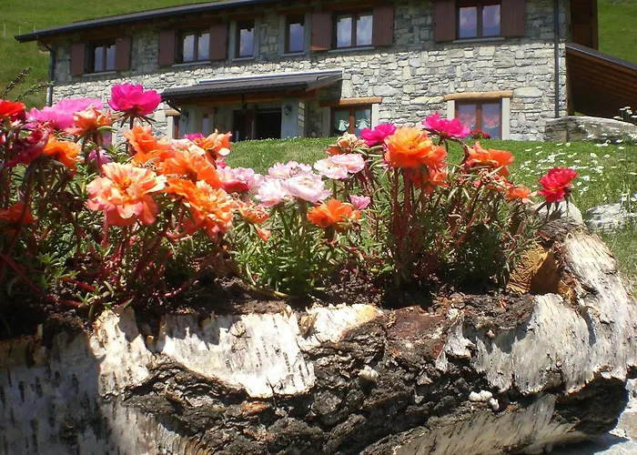 Agriturismo Le Radici