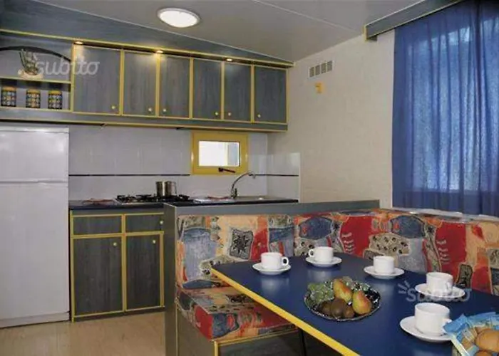 International Camping