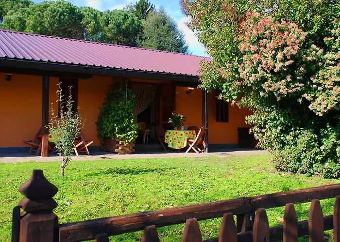 Azienda Agricola Armando Iacchelli