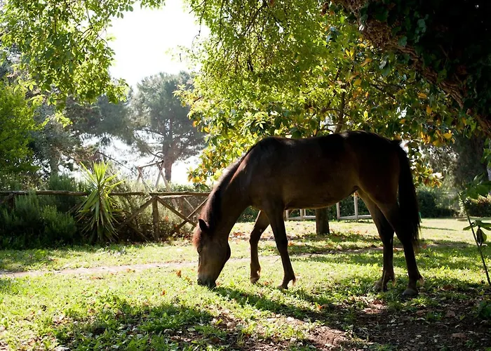 Agriturismo La Cerquetta