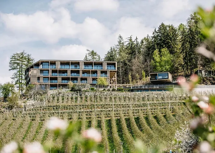 Panoramic Suites Winzerhöhe Schenna