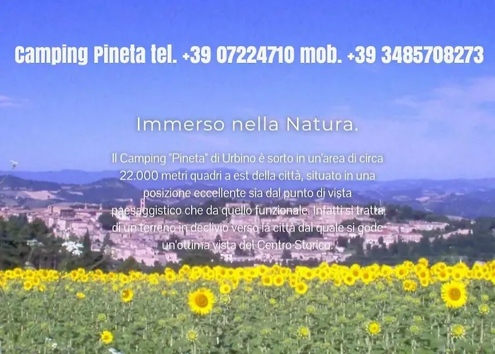 Camping Pineta