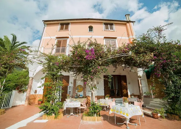 B&B Bouganville