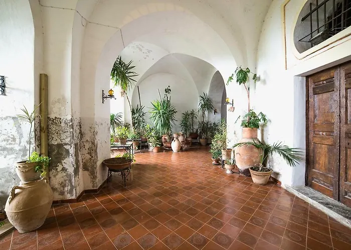B&B Bouganville