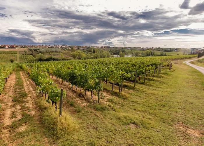 Agriturismo Tenute Poggio Di Bobi