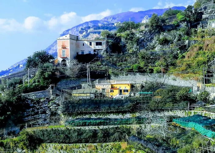 #La limonaia della torretta