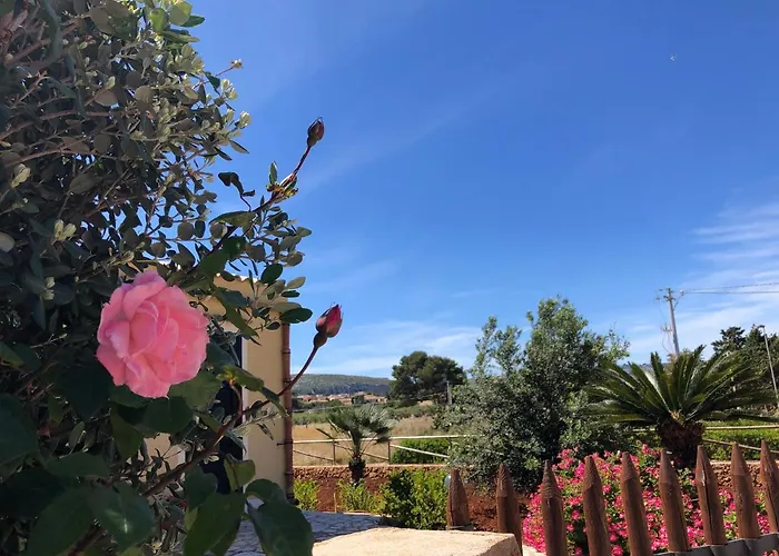 La villa dei girasoli