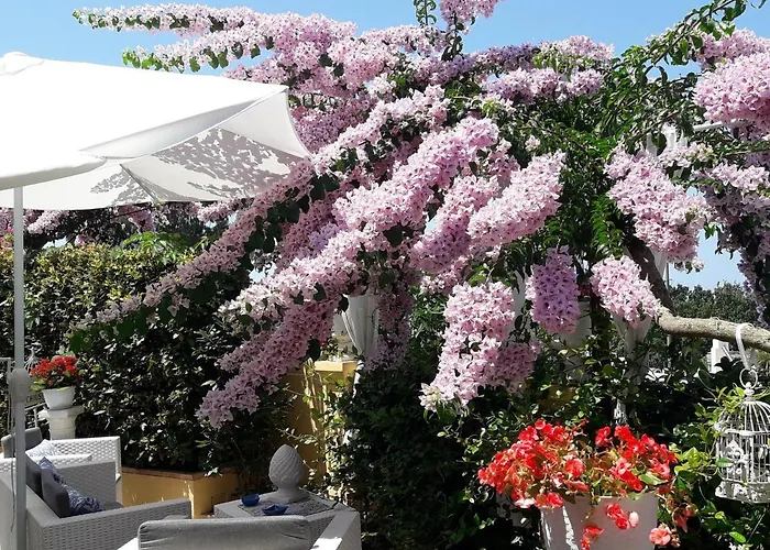 Villa Mimosa